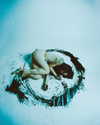 rafael.avcioglu Altpins Profile Picture