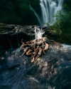 rafael.avcioglu Altpins Profile Picture