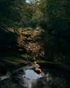 rafael.avcioglu Altpins Profile Picture