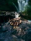 rafael.avcioglu Altpins Profile Picture