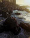 rafael.avcioglu Altpins Profile Picture