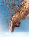 rafael.avcioglu Altpins Profile Picture
