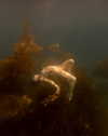 rafael.avcioglu Altpins Profile Picture