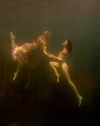 rafael.avcioglu Altpins Profile Picture