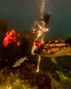 rafael.avcioglu Altpins Profile Picture