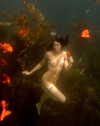 rafael.avcioglu Altpins Profile Picture