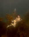 rafael.avcioglu Altpins Profile Picture