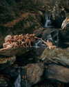 rafael.avcioglu Altpins Profile Picture