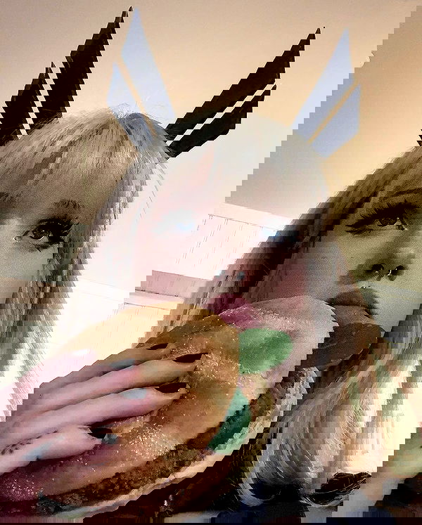 ratskeleton ratskeleton archive image