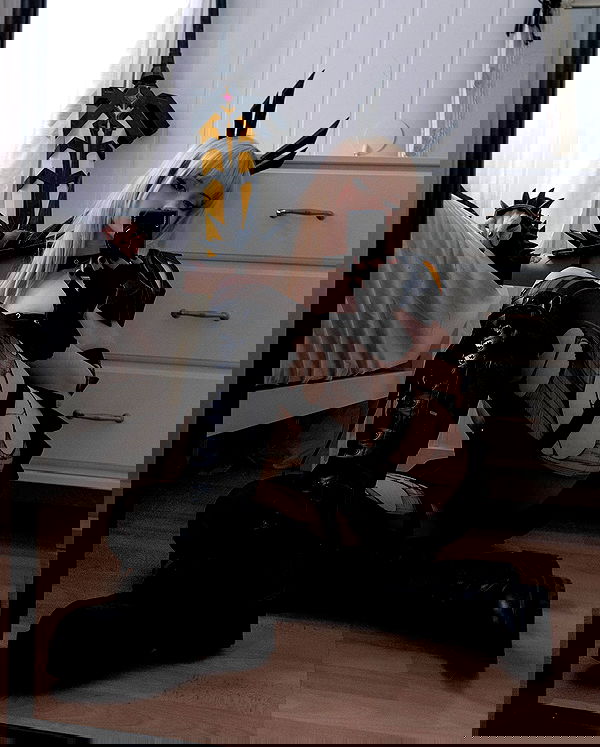 ratskeleton ratskeleton archive image