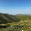 ravilova.1 Altpins Profile Picture