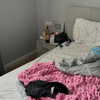 ravilova.1 Altpins Profile Picture