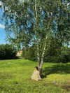 ravilova.1 Altpins Profile Picture