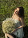ravilova.1 Altpins Profile Picture