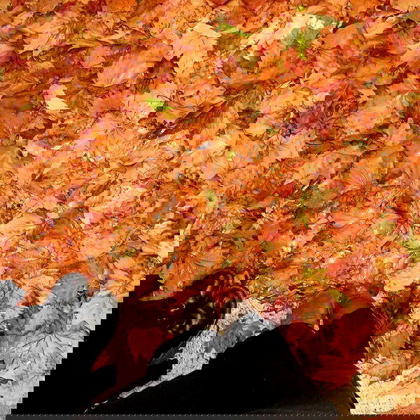 rawrxddd.07 rawrxddd.07 archive image