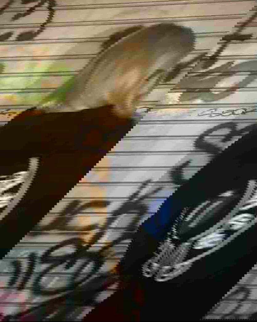 rchhhll instagram image archive image