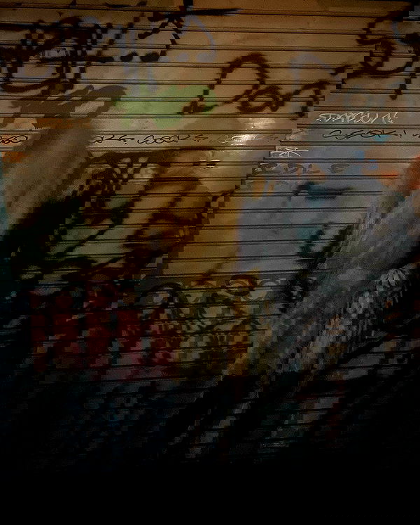 rchhhll image ~ Altpins