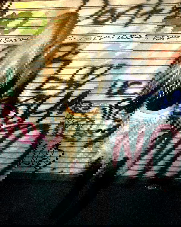 rchhhll image ~ Altpins