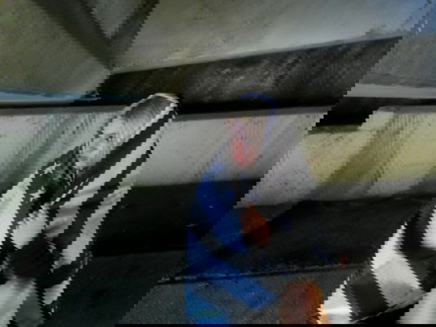 rchhhll instagram image archive image