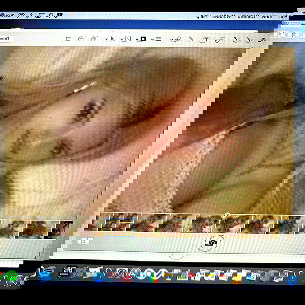 rchhhll image ~ Altpins