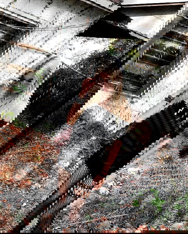 rchhhll image ~ Altpins