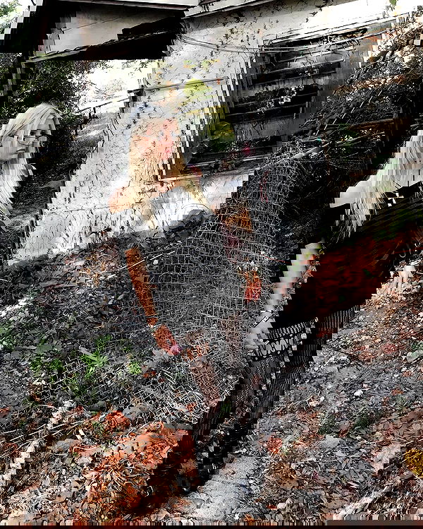 rchhhll image ~ Altpins