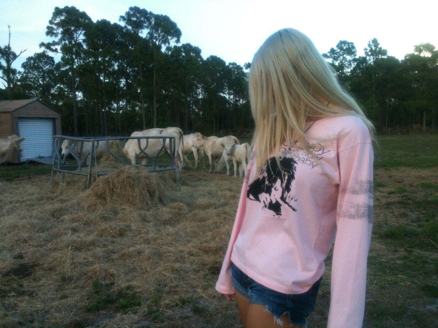 rchhhll instagram image archive image