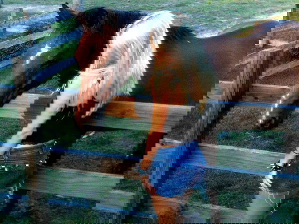 rchhhll image ~ Altpins