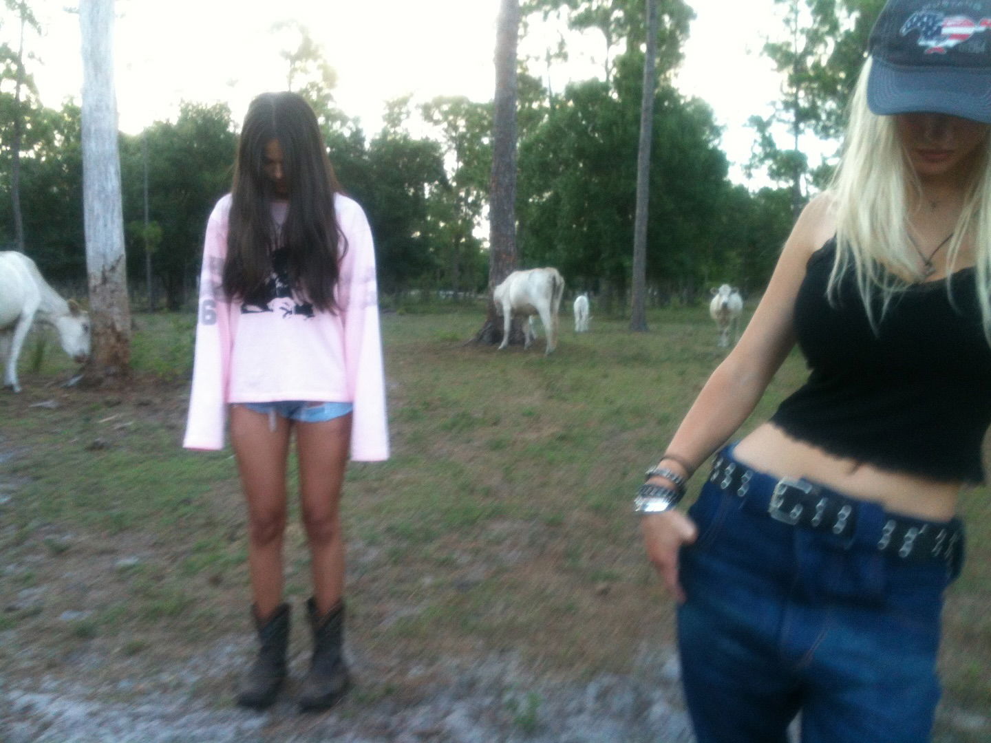 rchhhll instagram image archive image