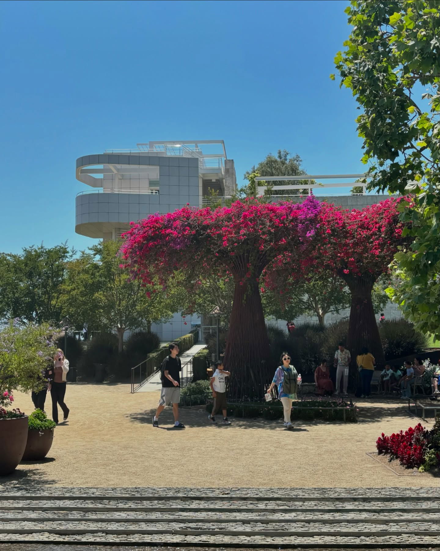 rchhhll instagram image archive image