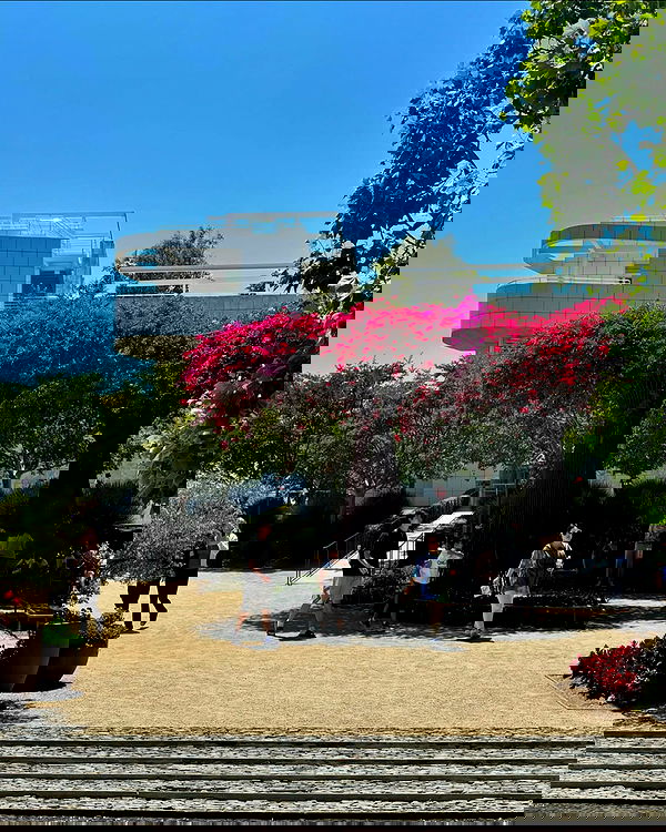 rchhhll image ~ Altpins