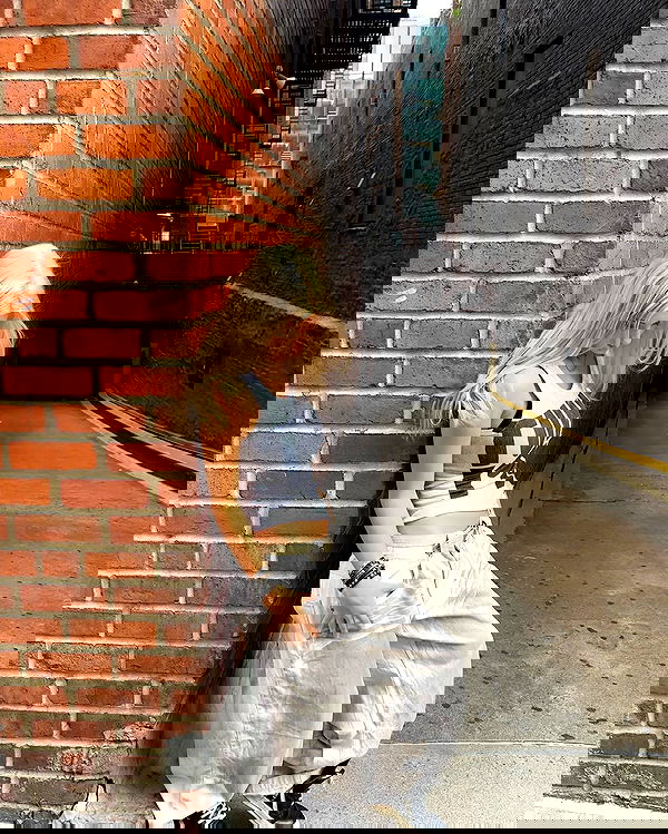 rchhhll image ~ Altpins