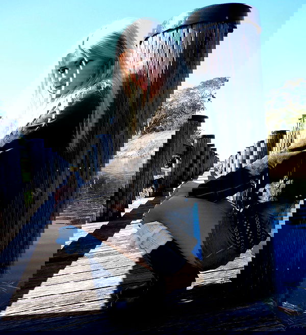 rchhhll image ~ Altpins