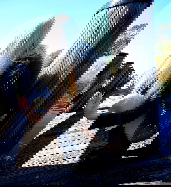 rchhhll image ~ Altpins