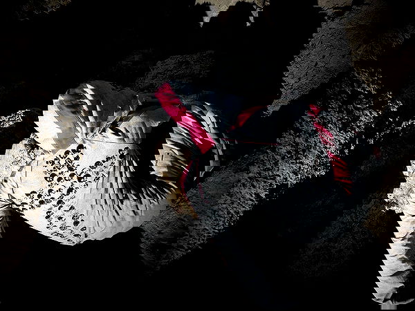 rchhhll image ~ Altpins