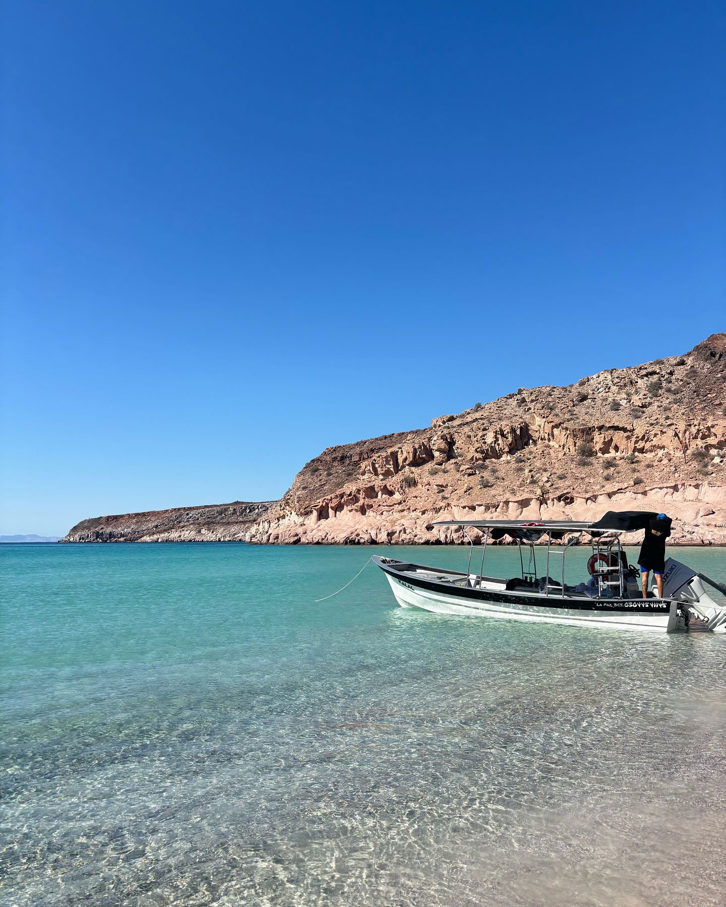 rchhhll instagram image archive image