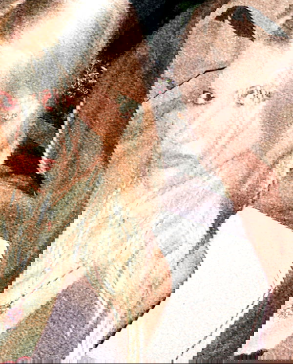 rchhhll image ~ Altpins