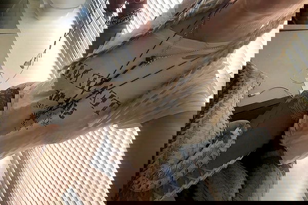 rchhhll image ~ Altpins