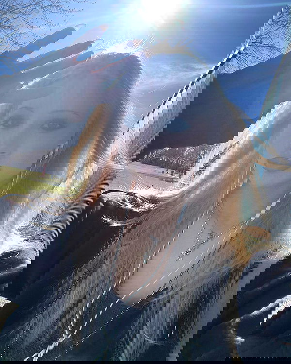 rchhhll image ~ Altpins