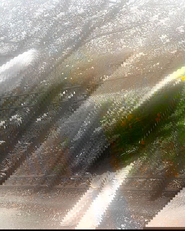 rchhhll image ~ Altpins