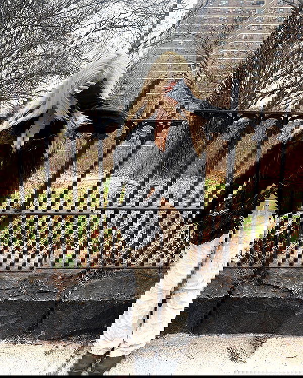 rchhhll image ~ Altpins