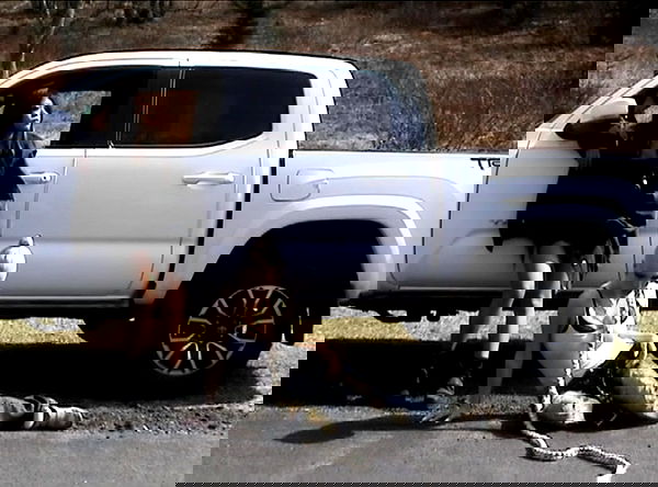 rchhhll image ~ Altpins