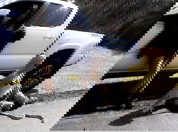 rchhhll image ~ Altpins