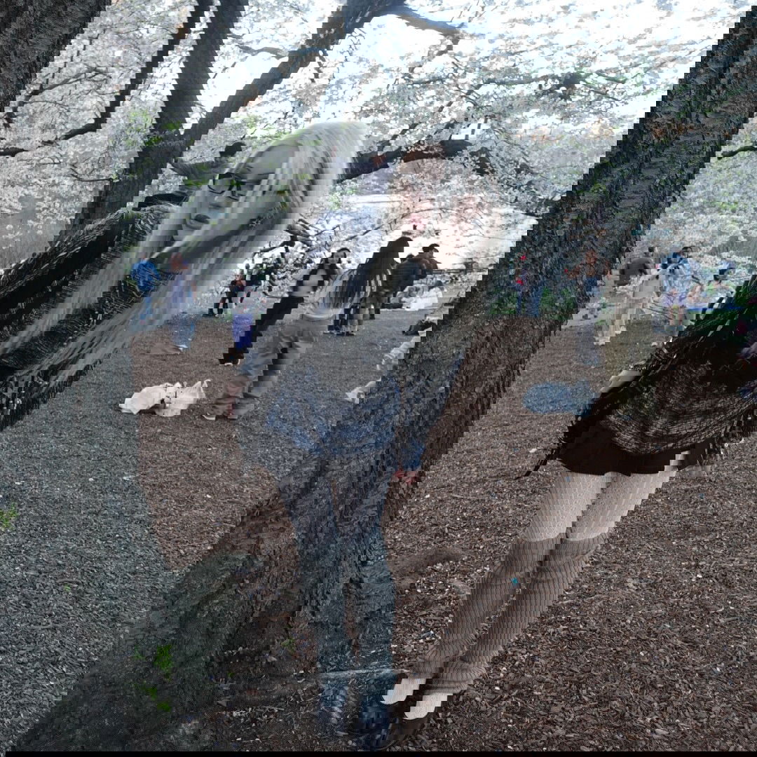 rchhhll instagram image archive image