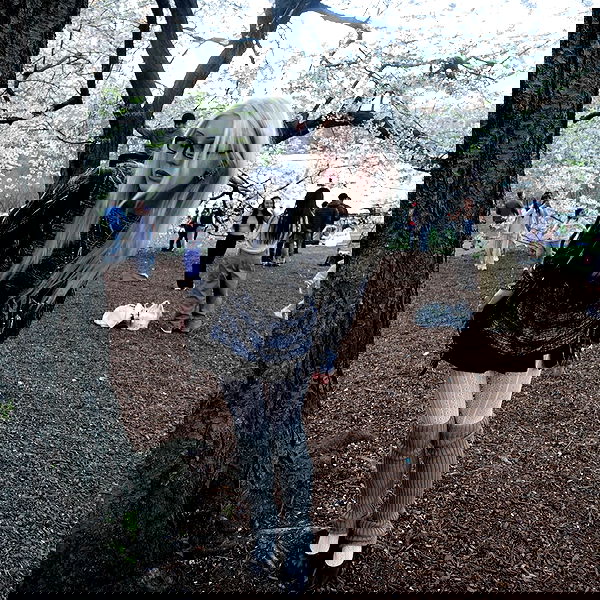 rchhhll image ~ Altpins