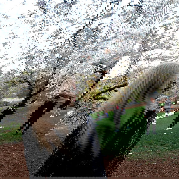 rchhhll image ~ Altpins