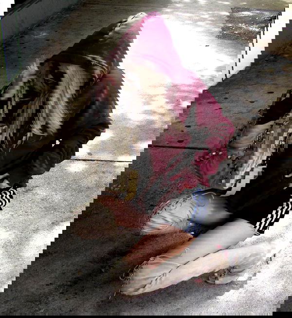 rchhhll image ~ Altpins