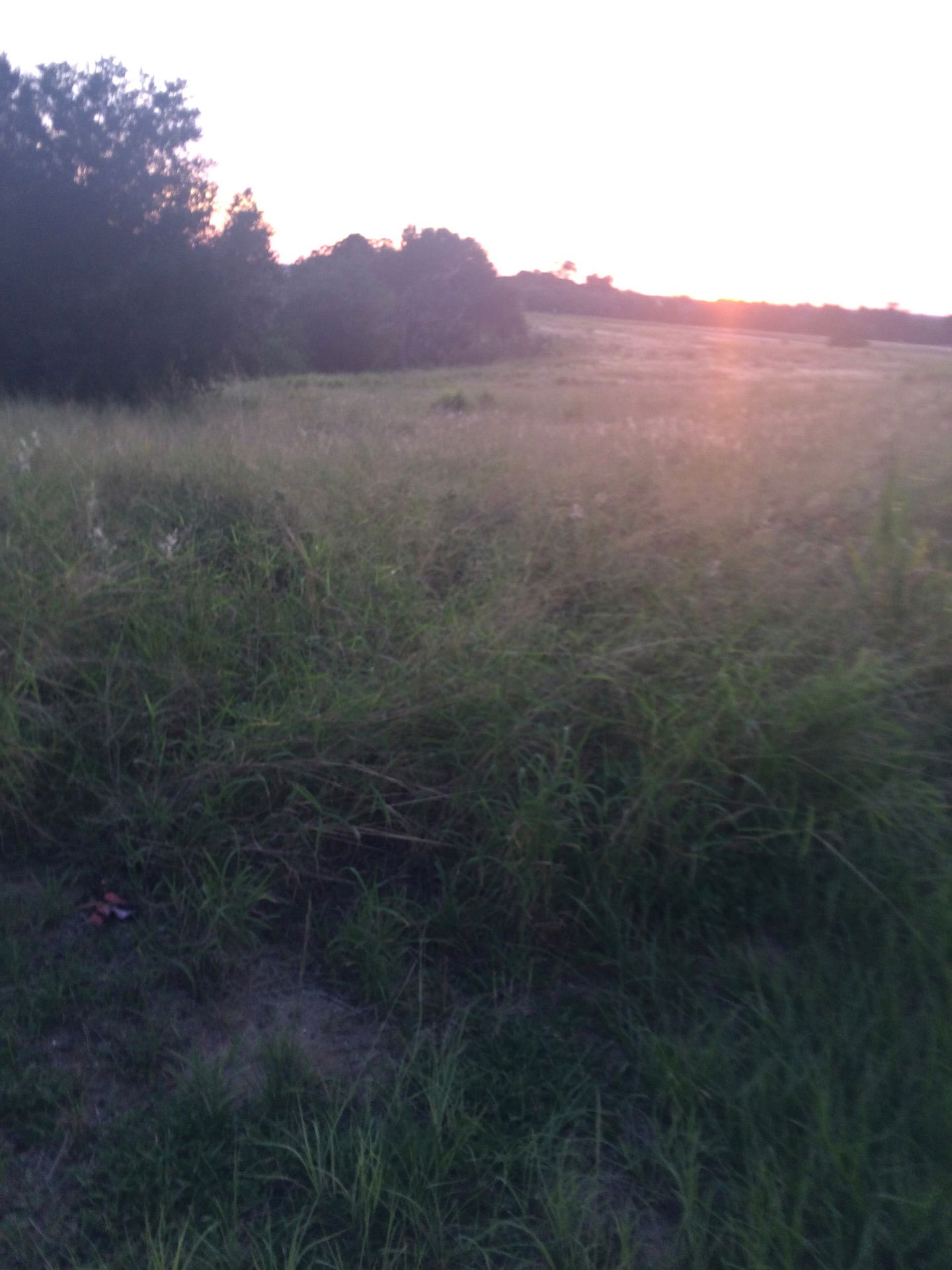 rchhhll instagram image archive image