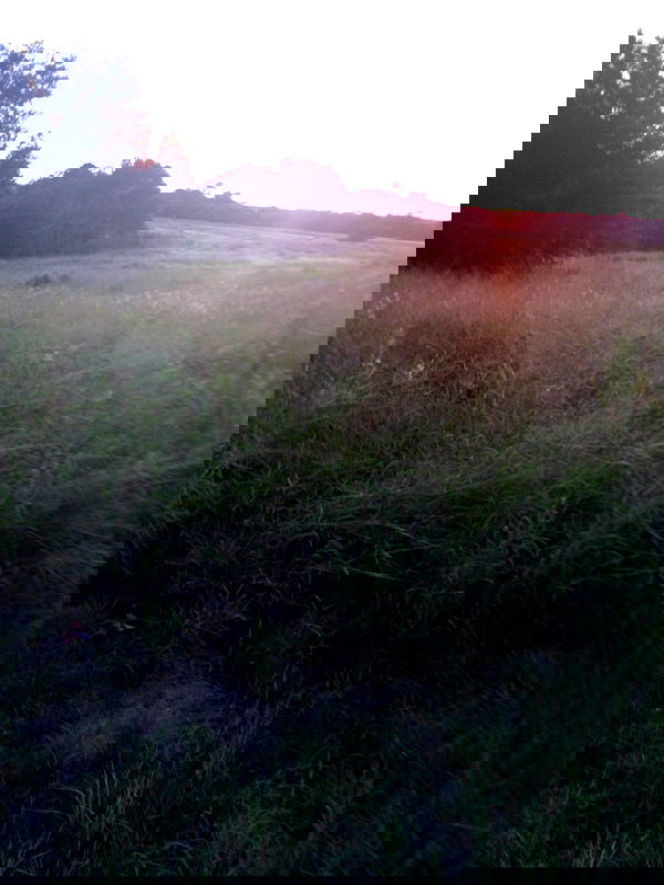 rchhhll image ~ Altpins