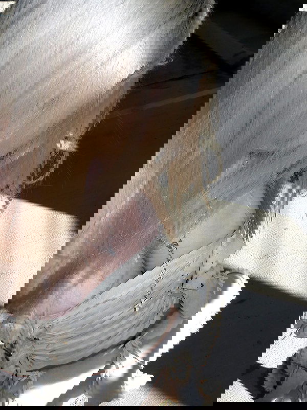 rchhhll image ~ Altpins